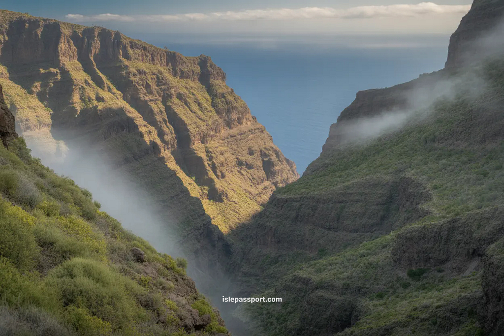 La Gomera’s green ravines and quiet hiking trails.