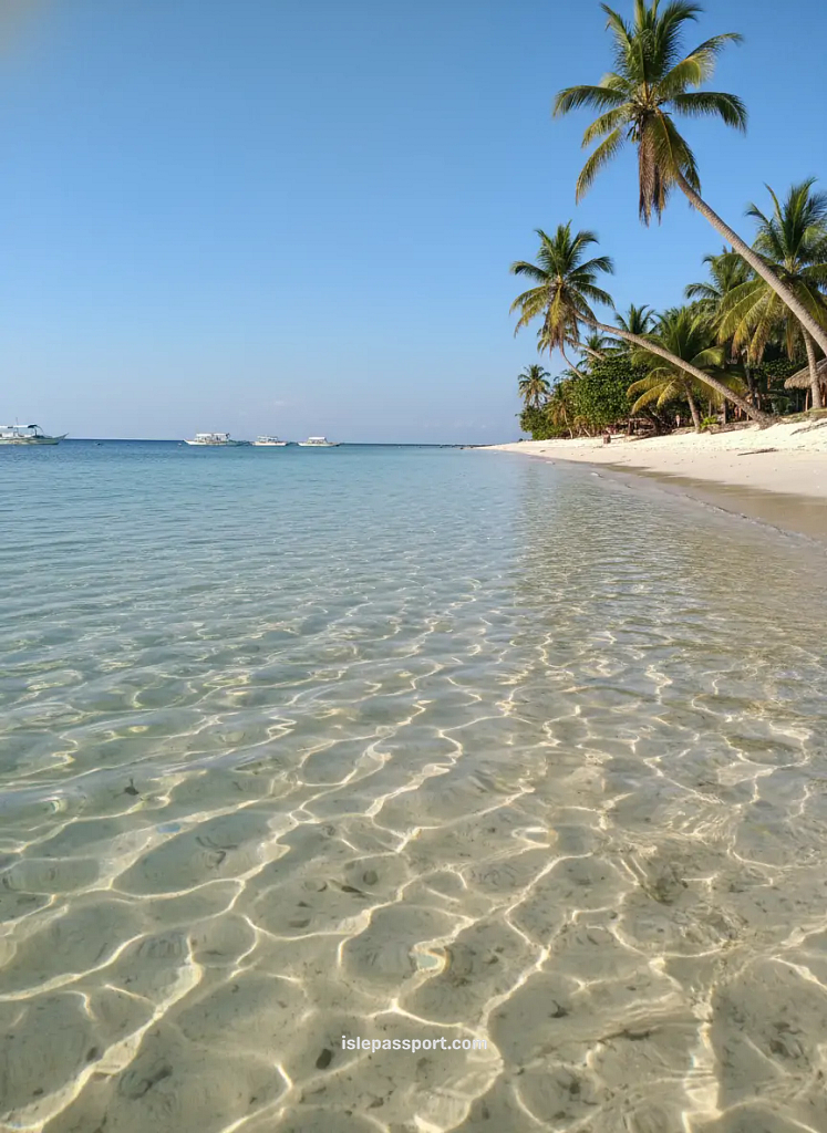 Crystal-clear water and palm-lined beach in Malapascua, Philippines