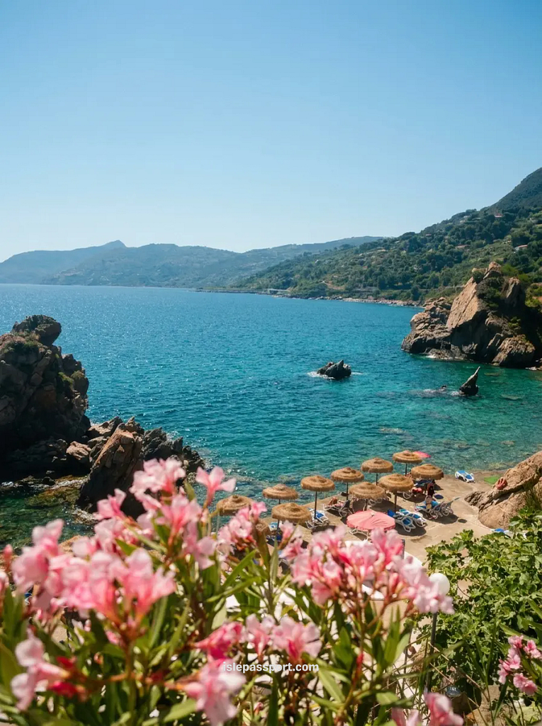Rocky cove beach near Cefalù Sicily with turquoise water, pink oleander flowers and straw parasols on the shore