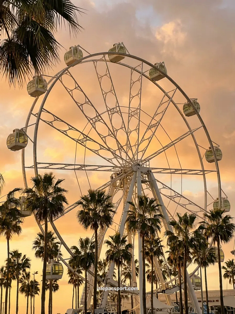 Puerto Marina Benalmádena ferris wheel and palm trees at golden hour sunset on the Costa del Sol