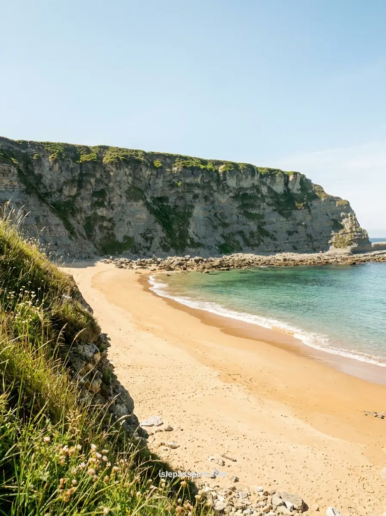 : A high-angle view of Playa de Langre in Cantabria, showing massive semi-circular limestone cliffs, golden sand, and emerald-colored water under a clear blue sky.