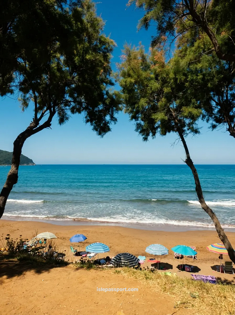 Looking out through framed green trees at the calm, sandy bay of Baratti, where colorful beach umbrellas are set up along the shoreline under a bright blue summer sky.