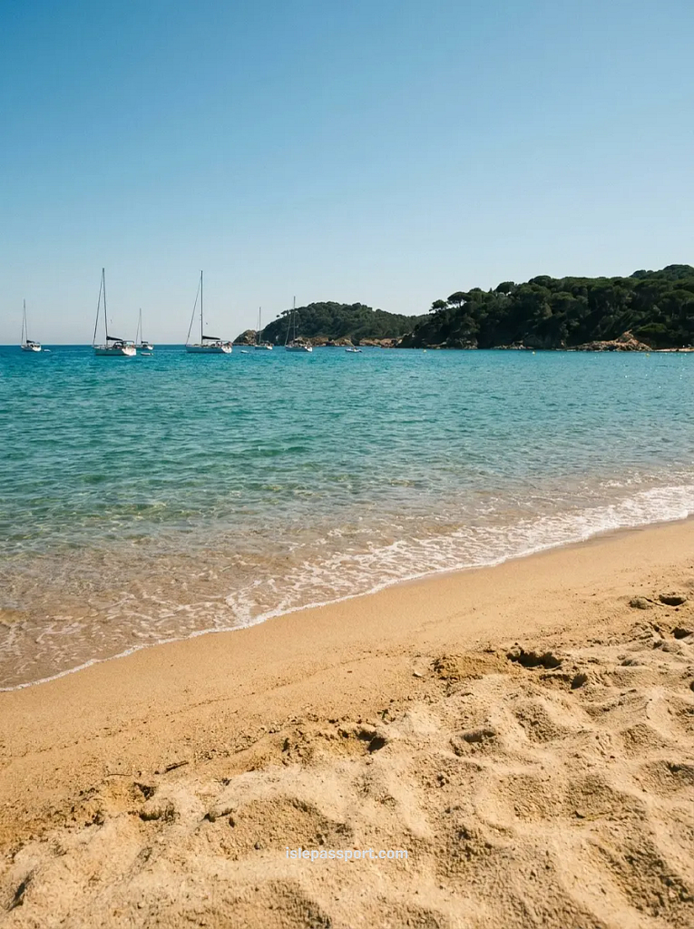 The wide golden sand beach of Platja de Pals in Costa Brava, Spain, with clear shallow water and sailboats anchored near the pine tree coastline.