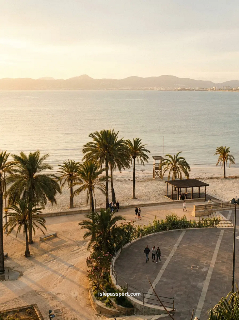 Wide sandy beach and palm tree promenade at Playa de Palma, ideal for early autumn city breaks