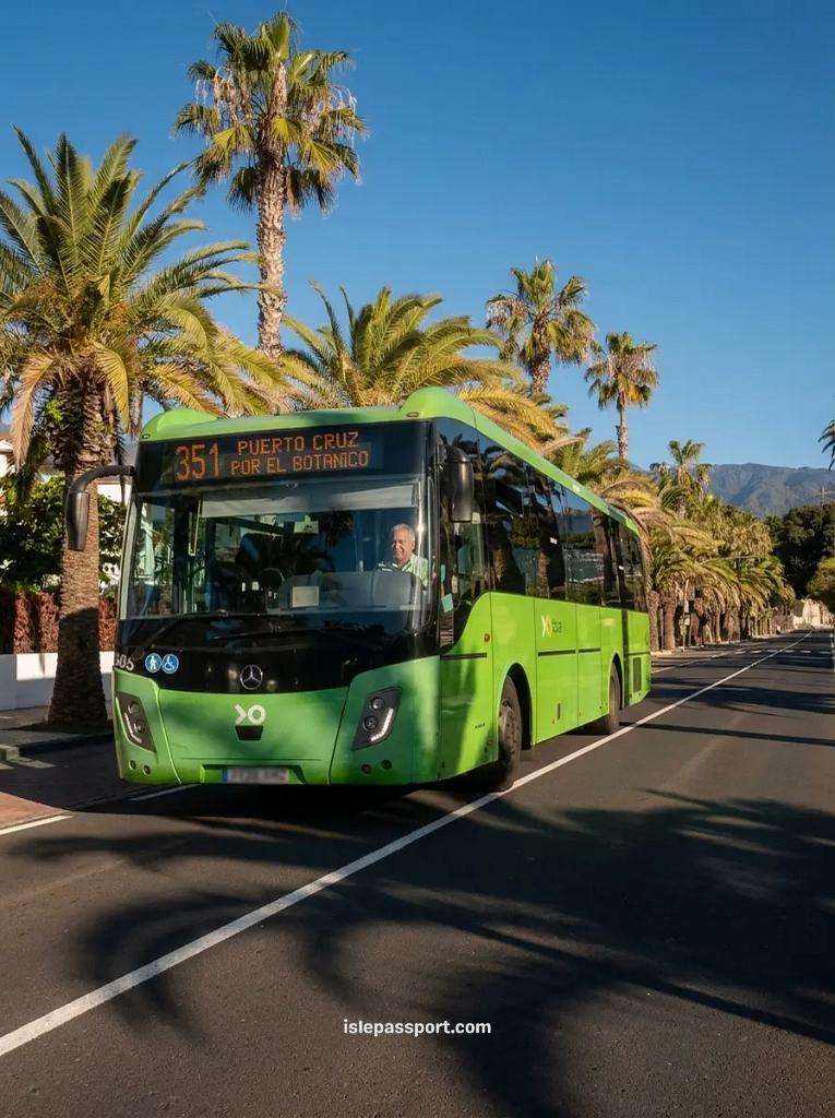 Green TITSA bus 351 to Puerto de la Cruz under palm trees, the Tenerife south to Tenerife north bus network in the north of the island