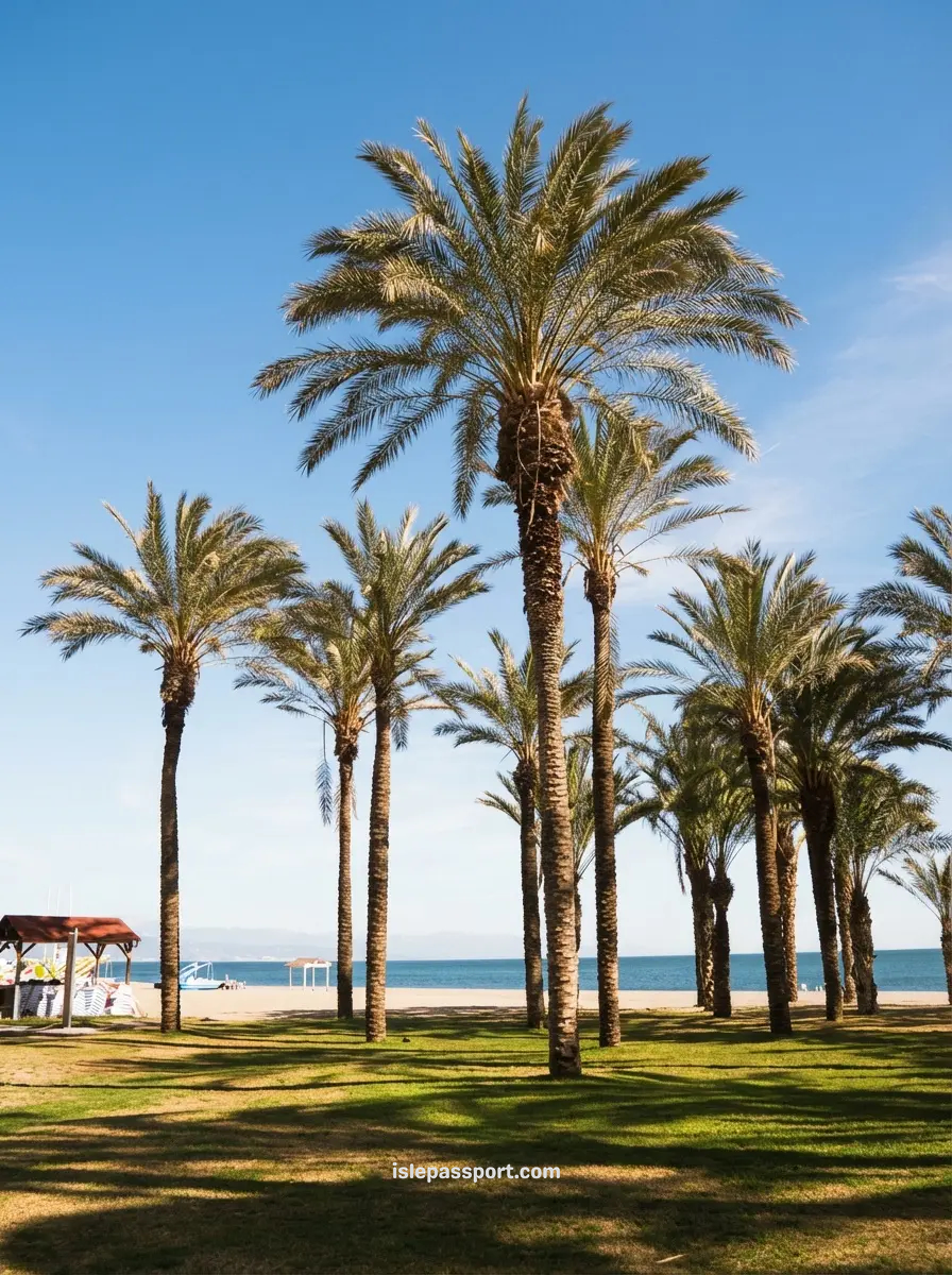 Palm-lined beach in Torremolinos, a convenient coastal town close to Málaga Airport